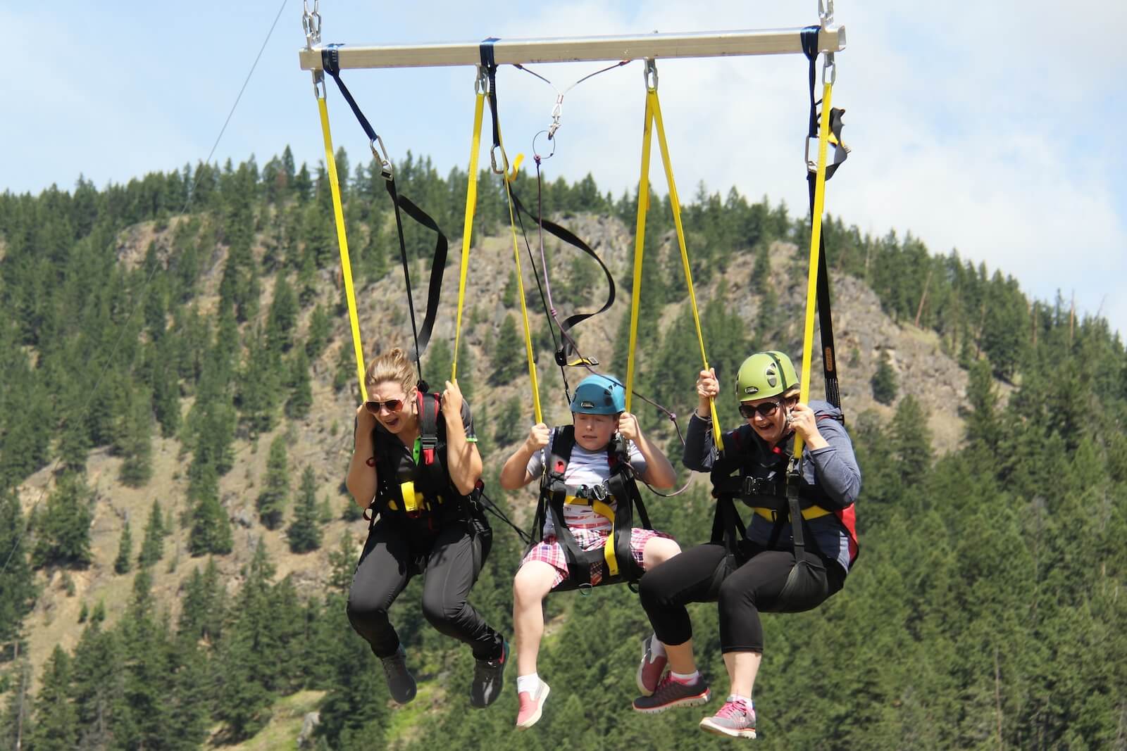 Treetop Flyers Hero 5