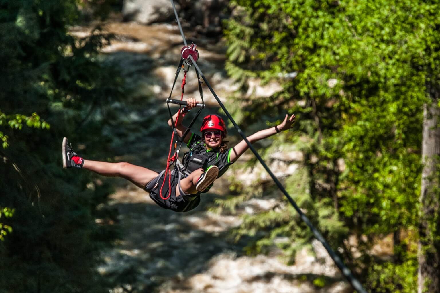 Treetop Flyers Hero 2