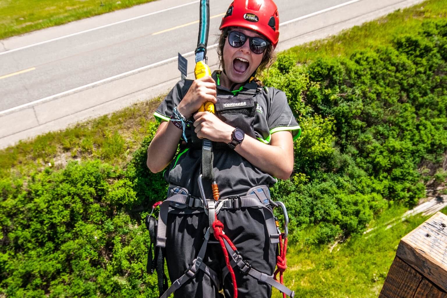 Treetop Flyers Hero 4