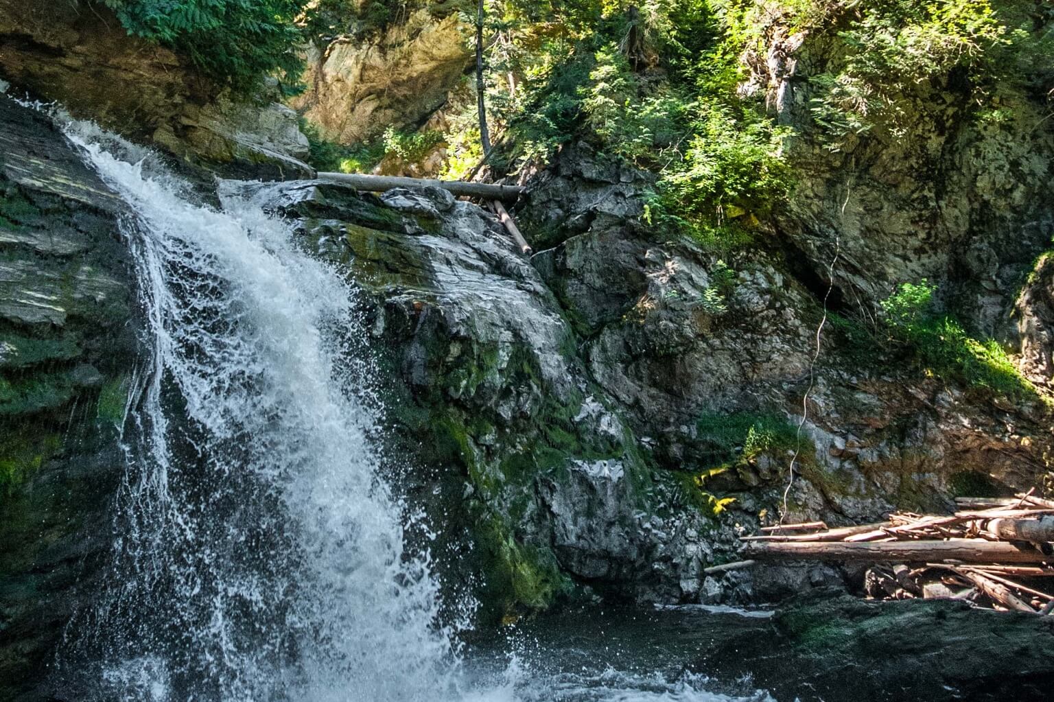 Treetop Flyers Hero 3